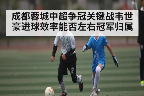 成都蓉城中超争冠关键战韦世豪进球效率能否左右冠军归属